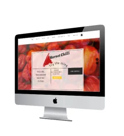 Bamboo Web Design Ltd